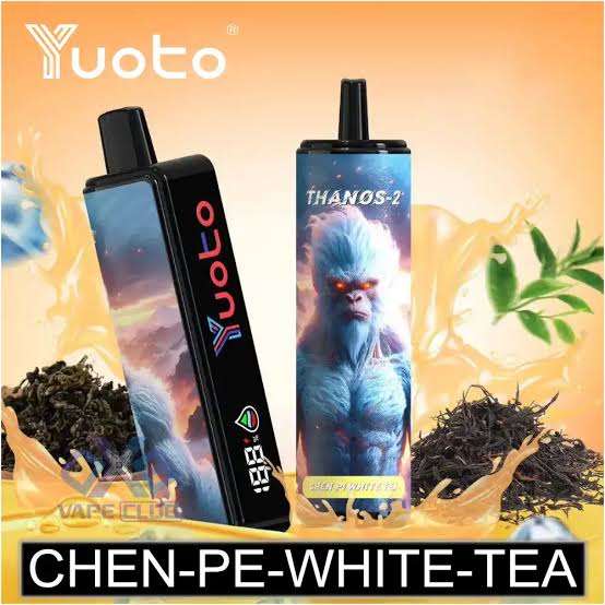 Youto chen pi white tea